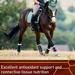 Vita Flex Pure C Antioxidant & Connective Tissue Support For Horses (2 lb)