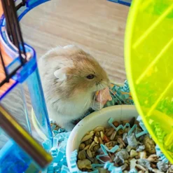 Vitakraft Drops with Strawberry Treats for Hamsters, 5.3-oz