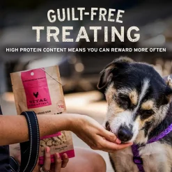 Vital Essentials Freeze-Dried Raw Salmon Bites Treats for Dogs, 5-oz
