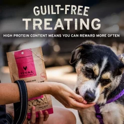 Vital Essentials Freeze-Dried Beef Bites Treats for Dogs