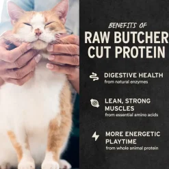 Vital Essentials Freeze-Dried Duck Liver Treats for Cats, 0.9-oz