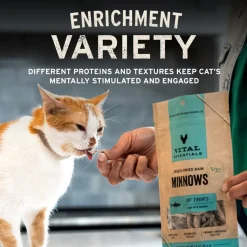Vital Essentials Freeze-Dried Ahi Tuna Treats for Cats, 1.1-oz