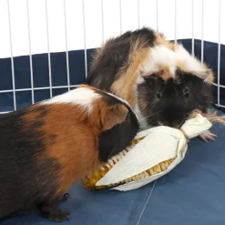 Ware Crisp-E-Corn Chew Toy for Small Animals