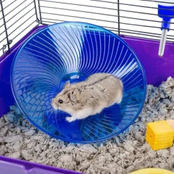 Ware Flying Saucer Exercise Wheel for Small Pets, Color Varies