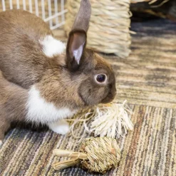 Ware Fun-E-Bunny Toy for Small Animals