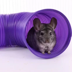 Ware Fun Tunnel Play Tube Small Animal Toy