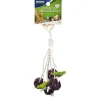 Ware Hanging Festive Bunch Toy for Small Animals, 1-count
