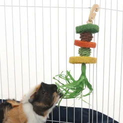 Ware Hula Chew for Small Animals