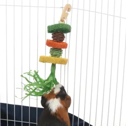 Ware Hula Chew for Small Animals