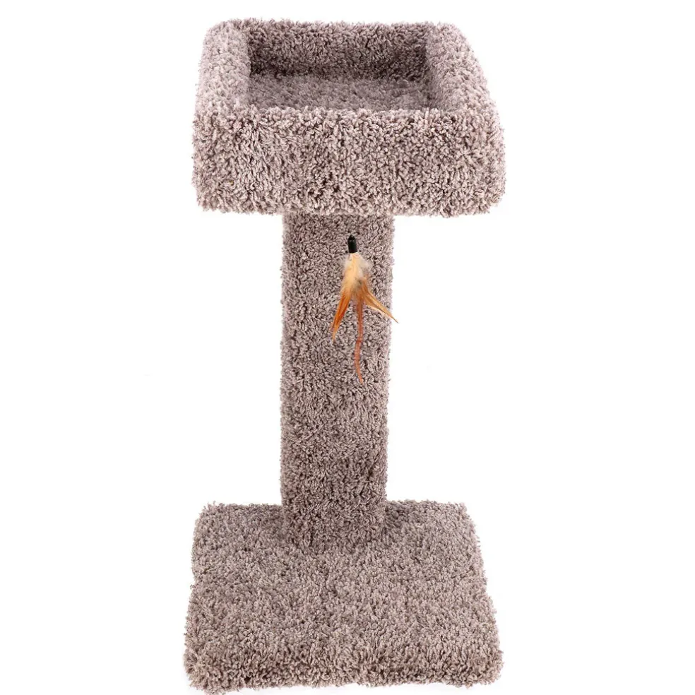 Ware Kitty Cactus with Toy, 24"