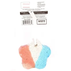Ware Lava Star for Small Animal Chew