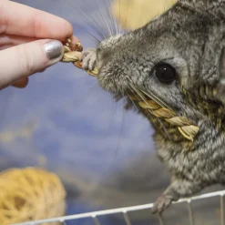 Ware Seagrass Twists Chew Toy for Small Animals