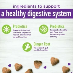 Wellness Belly Digestive Health Support Supplement for Dogs, 45 count