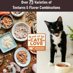 Wellness CORE Tiny Tasters Grain-Free Smooth Pate Chicken & Turkey Wet Food for Cats (1.75 oz x 12 pouches)