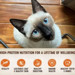 Wellness CORE Tiny Tasters Grain-Free Smooth Pate Chicken & Turkey Wet Food for Cats (1.75 oz x 12 pouches)