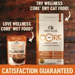 Wellness CORE Tiny Tasters Grain-Free Smooth Pate Chicken & Turkey Wet Food for Cats (1.75 oz x 12 pouches)
