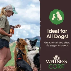 Wellness CORE Tiny Trainers Tender Grain Free Lamb & Apple Dog Treats (6 oz)