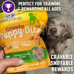 Wellness Crunchy Puppy Bites Chicken & Carrot Recipe Grain-Free Dog Treats (6 oz)