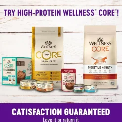 Wellness Kittles Salmon & Cranberries Recipe Crunchy Cat Treats (2 oz)