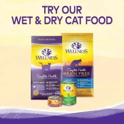 Wellness Kittles Salmon & Cranberries Recipe Crunchy Cat Treats (2 oz)