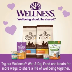 Wellness Lickable Treats Chicken Recipe Natural Treats for Cats, 2.5-oz