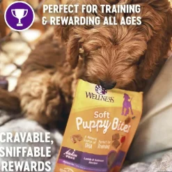 Wellness Soft Puppy Bites Lamb & Salmon Recipe Grain-Free Dog Treats (3 oz)