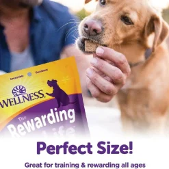 Wellness The Rewarding Life Lamb & Salmon Recipe Grain-Free Dog Treats (6 oz)