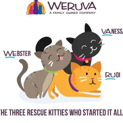 Weruva BFF Gravy Chicken & Salmon Crazy 4 U! Dinner in Gravy Cat Food