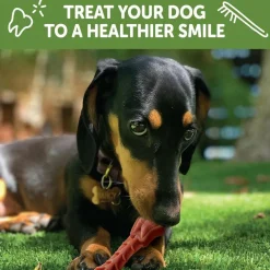 WHIMZEES Brushzees Dental Chews Natural Grain-Free Dental Dog Treats Extra Small (48 count)