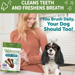 WHIMZEES Brushzees Dental Chews Natural Grain-Free Dental Dog Treats Extra Small (48 count)