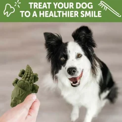 WHIMZEES by Wellness Alligator Natural Grain Free Dental Chews For Medium Dogs (12 pc)