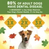 Whimzees by Wellness Fall Value Bag Small Dental Dog Chews (6.3 oz)