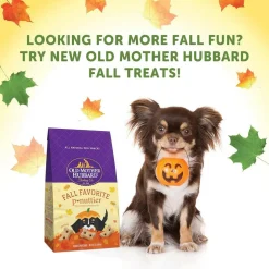 Whimzees by Wellness Fall Value Bag Small Dental Dog Chews (6.3 oz)