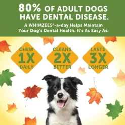 Whimzees by Wellness Fall Value Bag Medium Dental Dog Chews (6.3 oz)