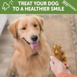 Whimzees by Wellness Hedgehog Dental Chews Natural Grain-Free Dental Treats For Large Dogs (6 ct)