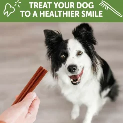 Whimzees by Wellness Stix Natural Grain Free Dental Chews For Medium Breed Dogs (14.8 oz)