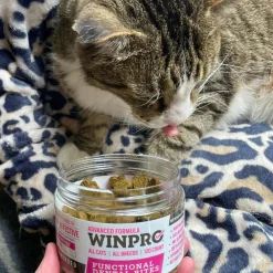 WINPRO Cat Dental Bites (120 Bites)