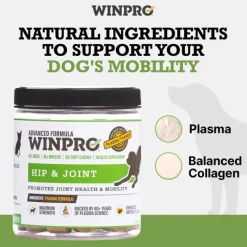 WINPRO Dog Hip & Joint Supplement (60 Chews)