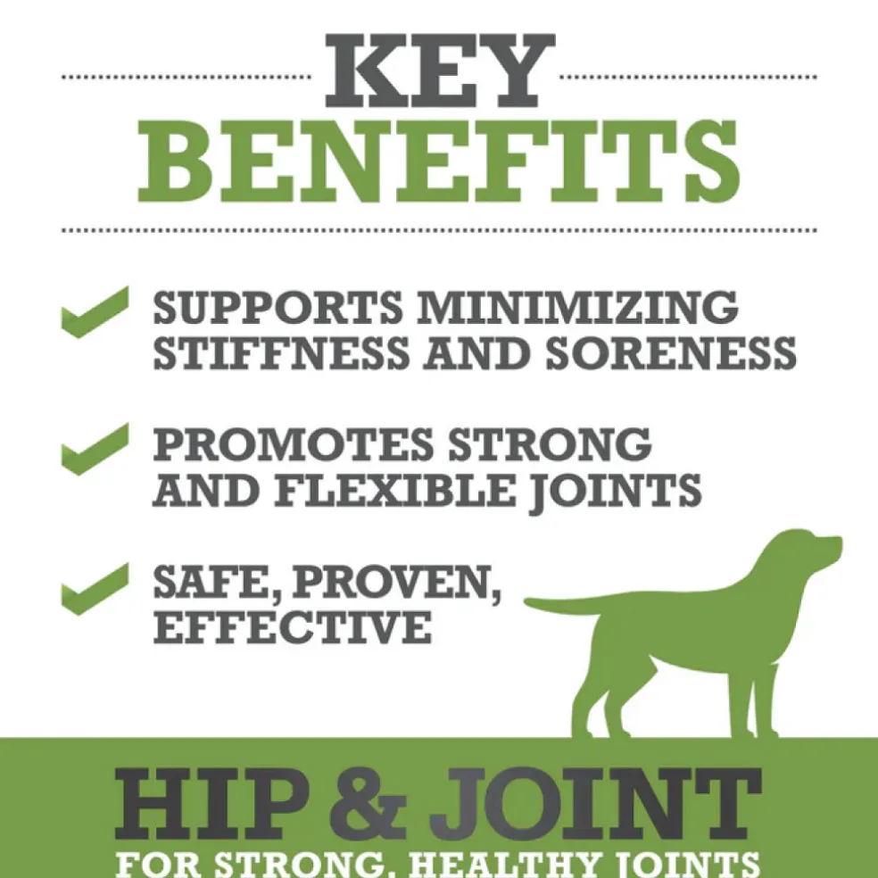 WINPRO Dog Hip & Joint Supplement (60 Chews)