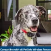 Wireless Pet Containment System Receiver Collar
