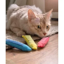 Yeowww!-Ola Crayons Catnip Cat Toy
