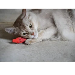 Yeowww!-Ola Crayons Catnip Cat Toy