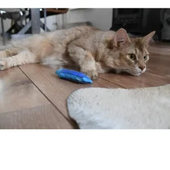 Yeowww!-Ola Crayons Catnip Cat Toy