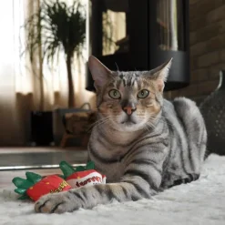Yeowww! Strawberries Catnip Cat Toy