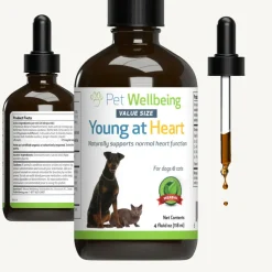 Young at Heart for Healthy Heart Maintenance in Cats (4 oz)