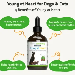 Young at Heart for Healthy Heart Maintenance in Cats (4 oz)