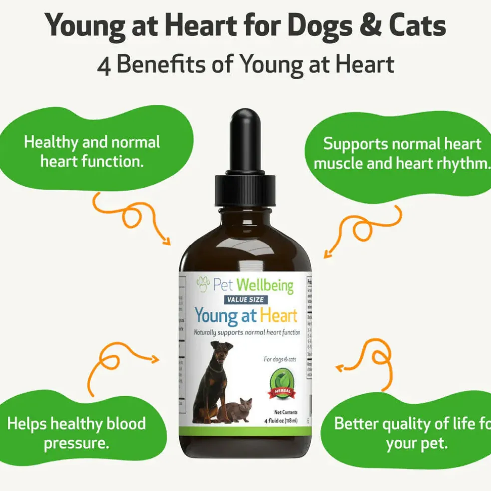 Young at Heart for Healthy Heart Maintenance in Cats (4 oz)