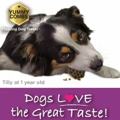 Yummy Combs Premium Dog Treats, Fish and Egg Allergy Relief, Medium, 15 Count