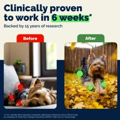YuMOVE Hip & Joint Health Supplement For Dogs, 60 Soft Chews