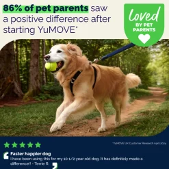 YuMOVE PLUS Joint Supplement Extra-Strength Tablets for Dogs